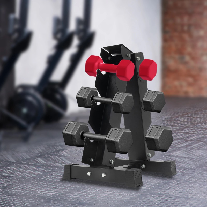 Home Gym Organization - Casa ginásio economia de espaço equipamento