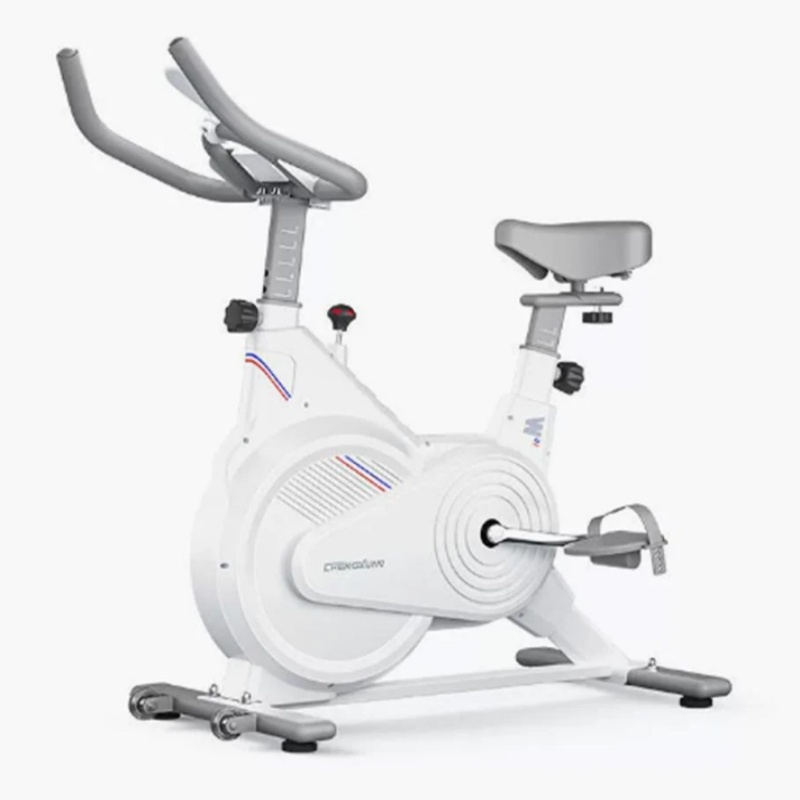 Home Gym Rig - Bicicleta de Spinning Estacionária para Uso