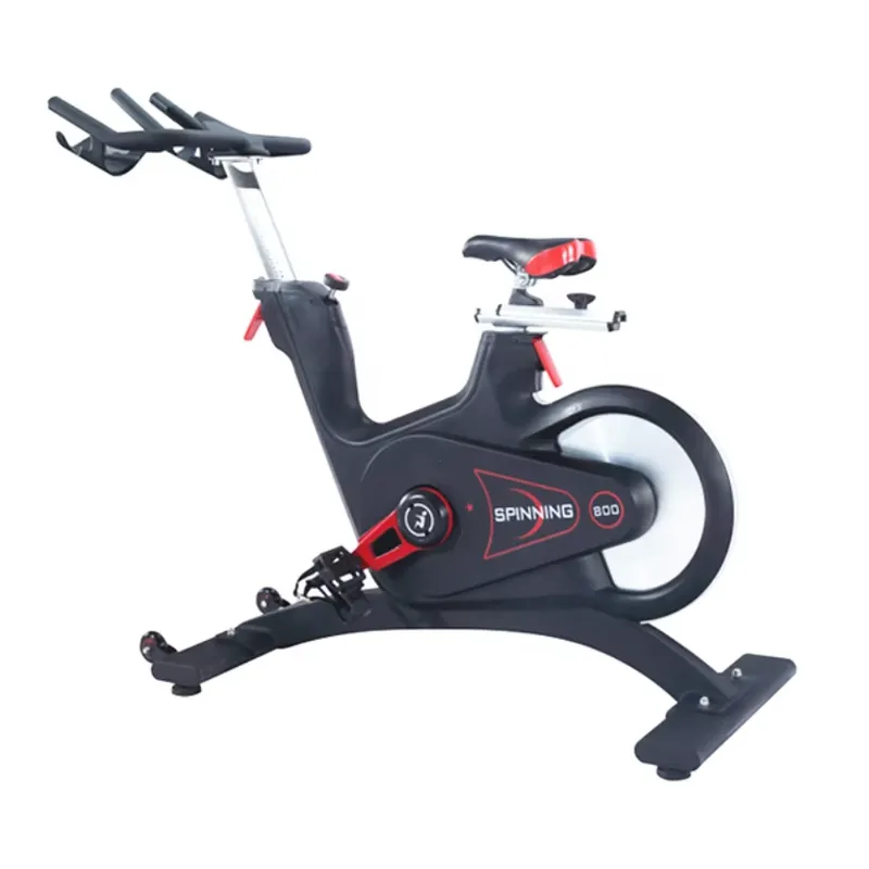 Bicicleta de Spinning Profissi - Home Gym Workout avaliação e preço