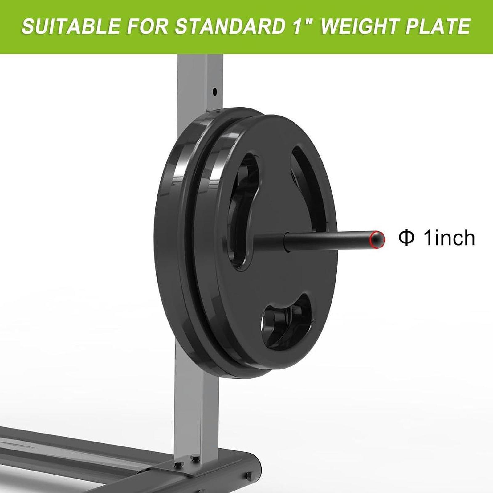 Suporte/Organizador de Anilhas - Home Gym Organization avaliação e preço